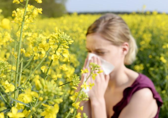 Allergy Relief Without Drugs