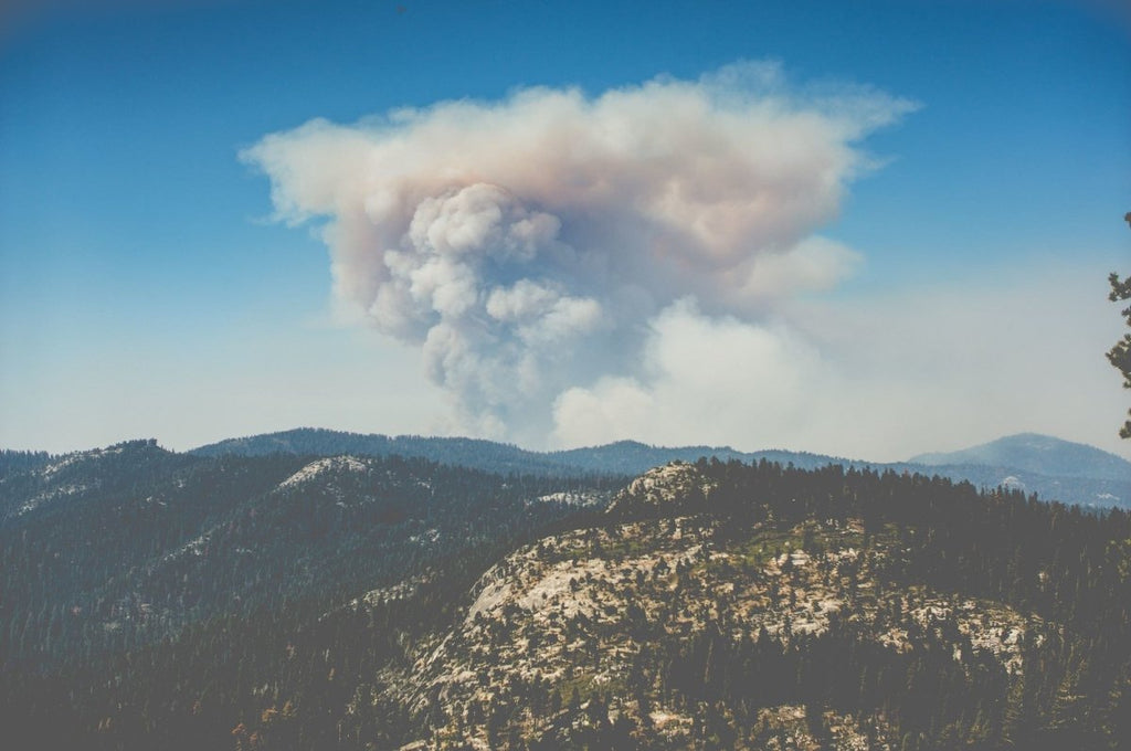 Tips For Dealing With Smokey Air During The Wildfire Season | Clear Revive
